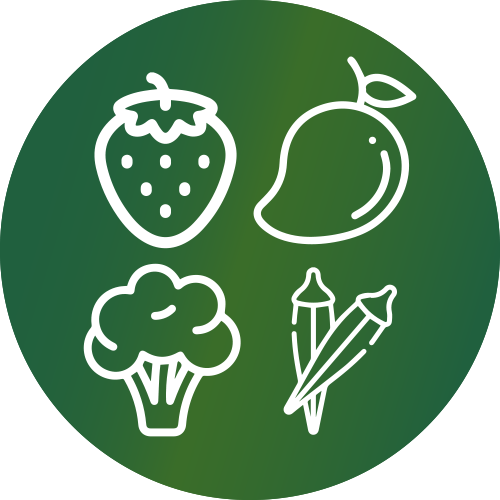 Fruits and Vegetables